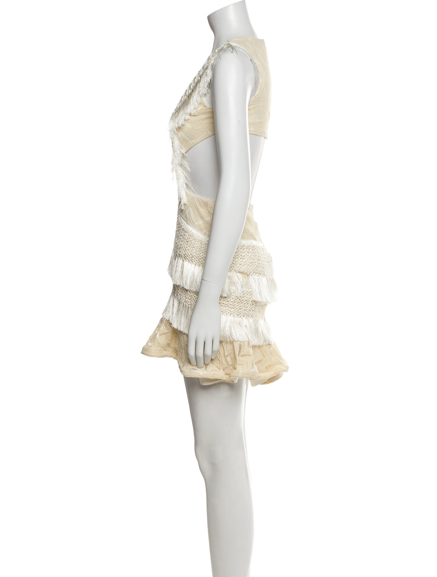 PatBO Lace Pattern Mini Dress