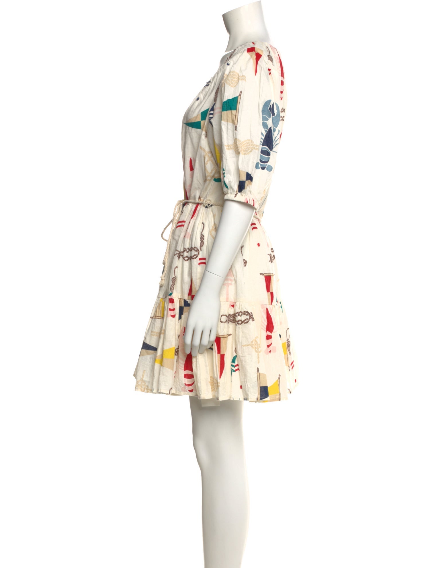 Pink Chicken Printed Mini Dress