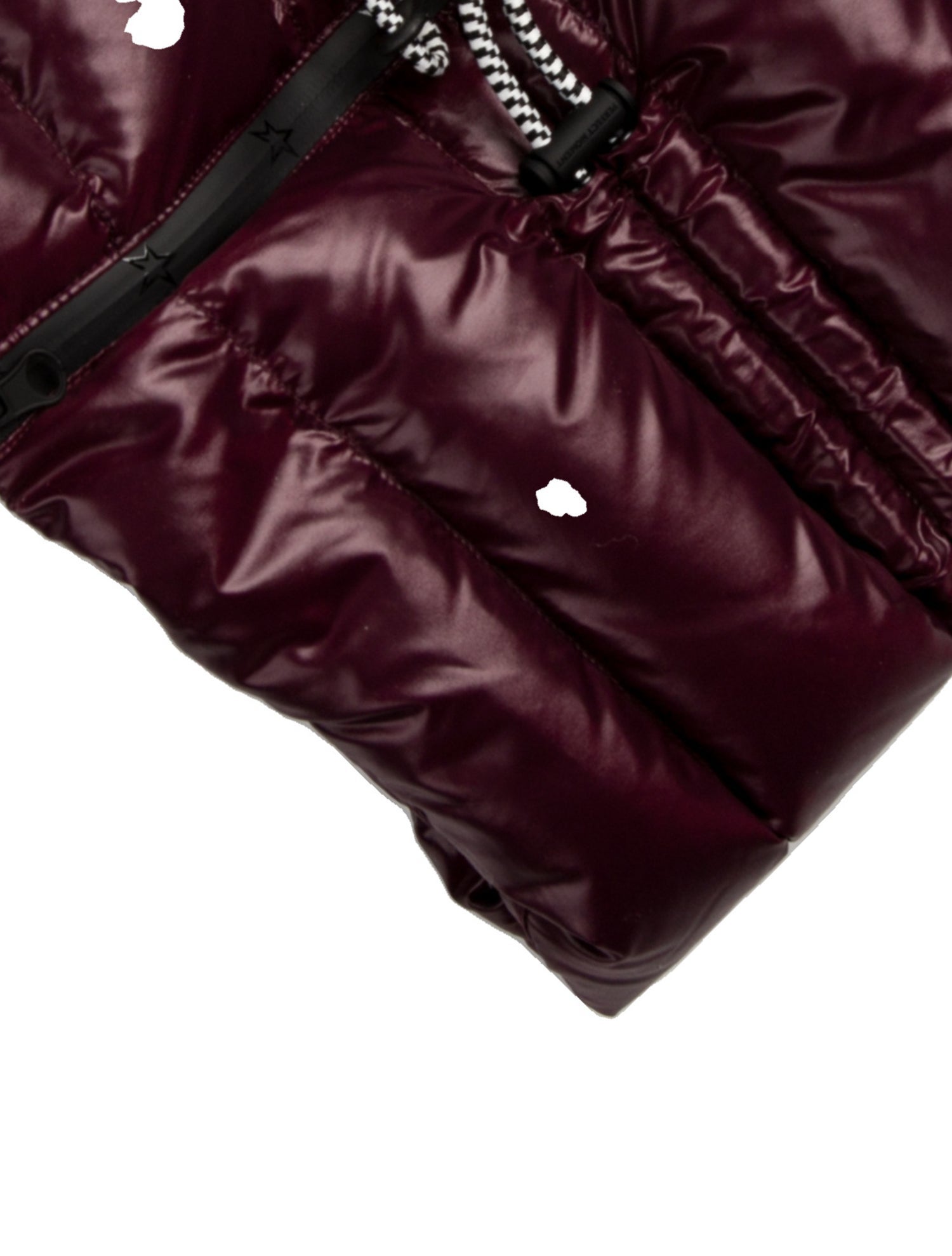 Perfect Moment Nylon Printed Scarf w/ Tags