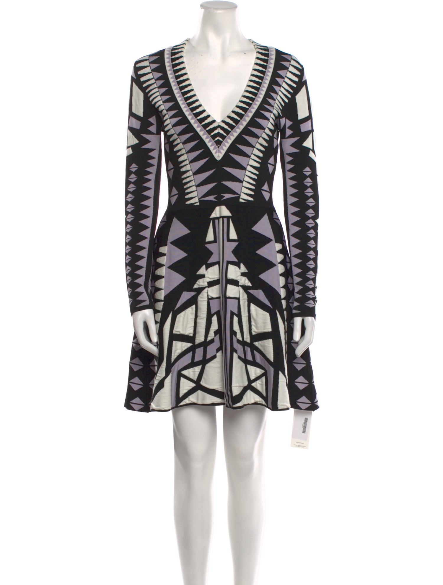 Parker Printed Mini Dress