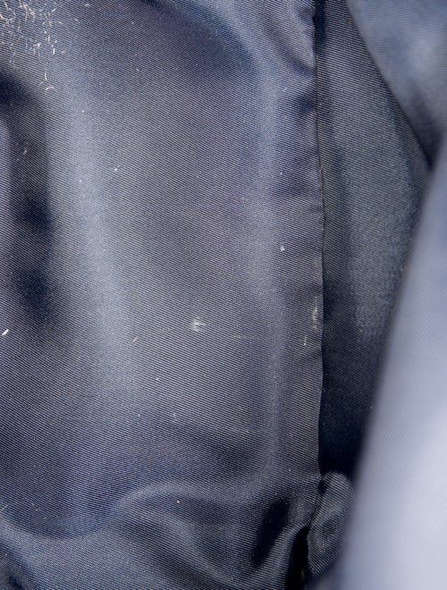 Paravel Canvas Backpack