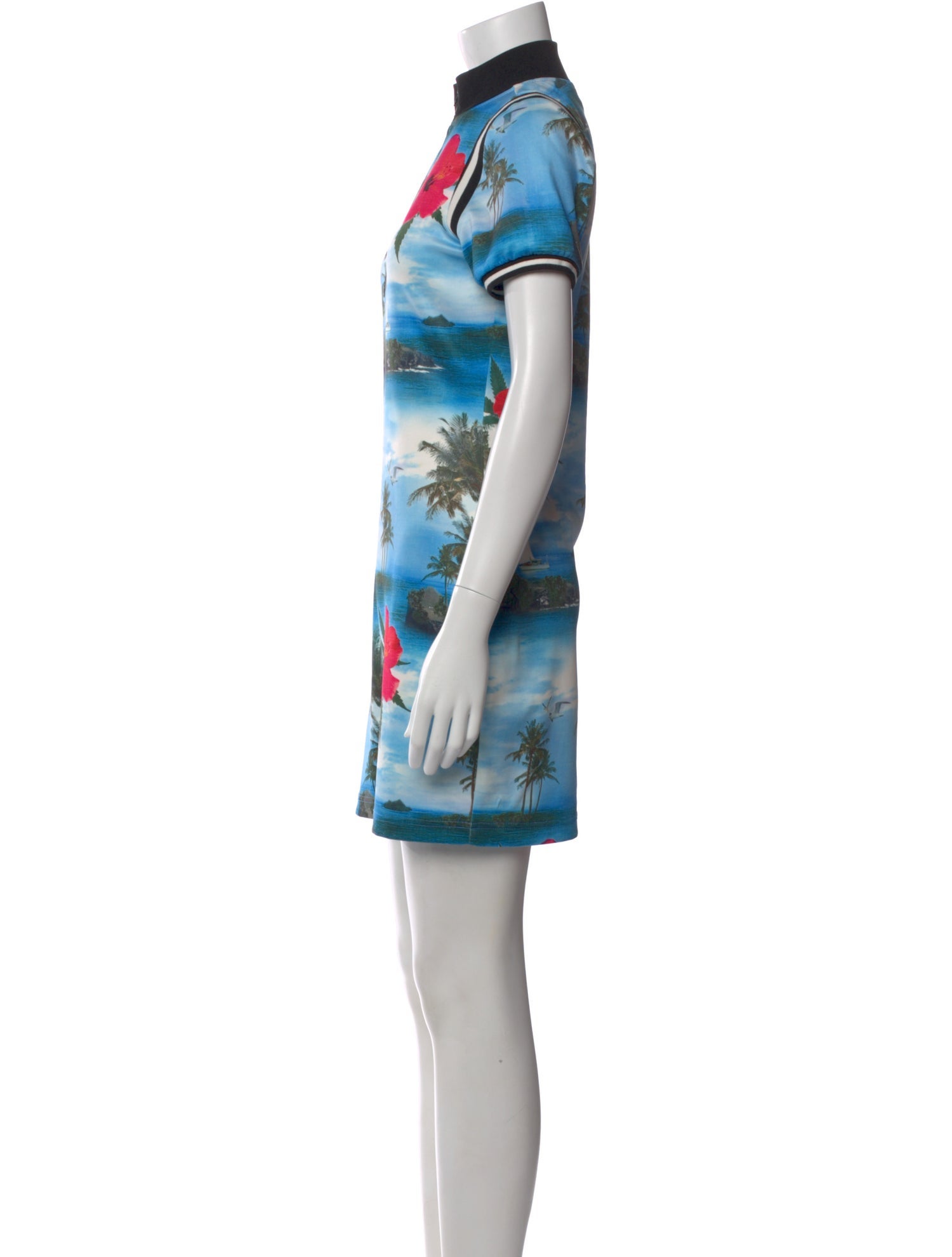 Pam & Gela Floral Print Mini Dress