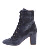 Polly Plume Velvet Lace-Up Boots