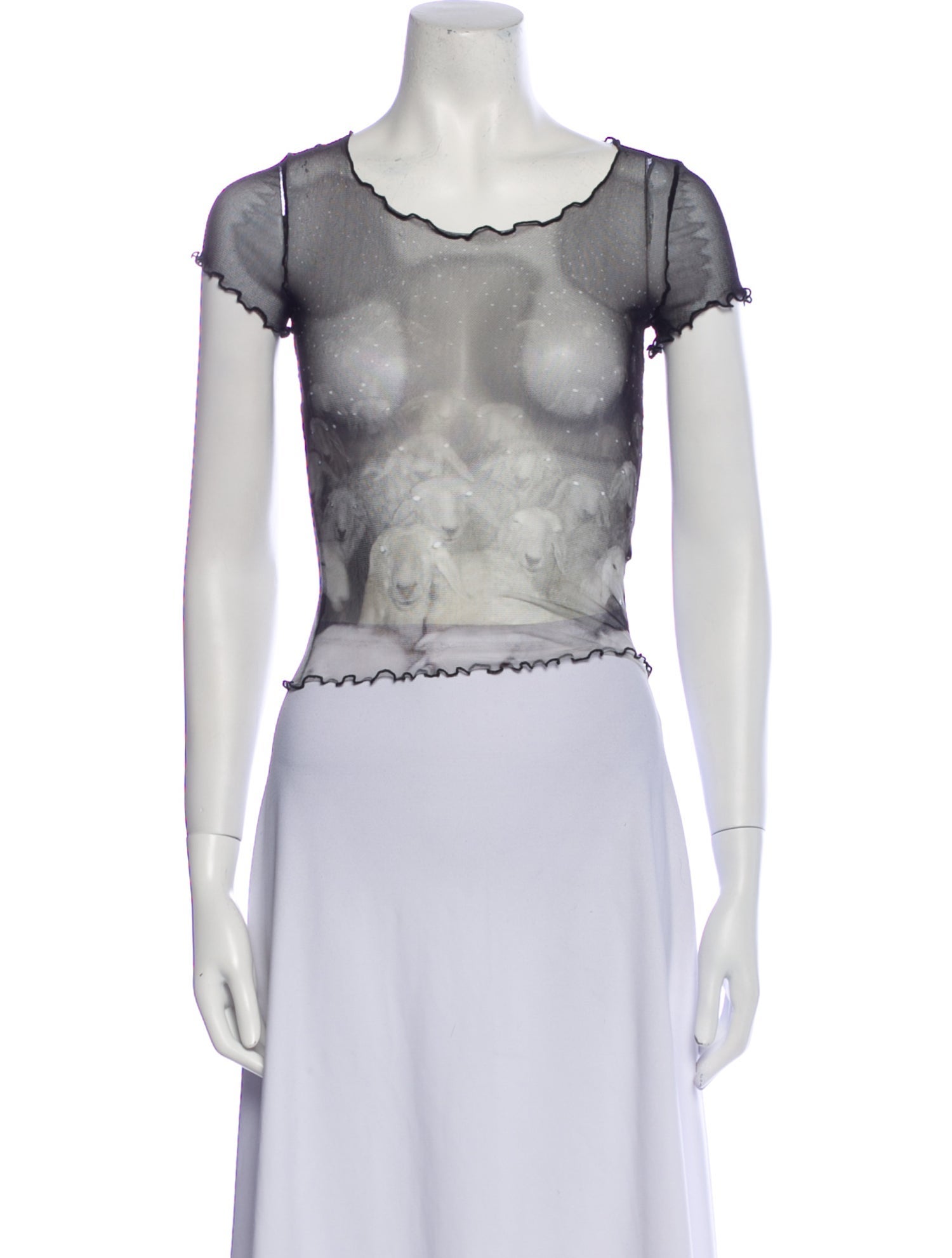 PRISCAVera Printed Scoop Neck Crop Top