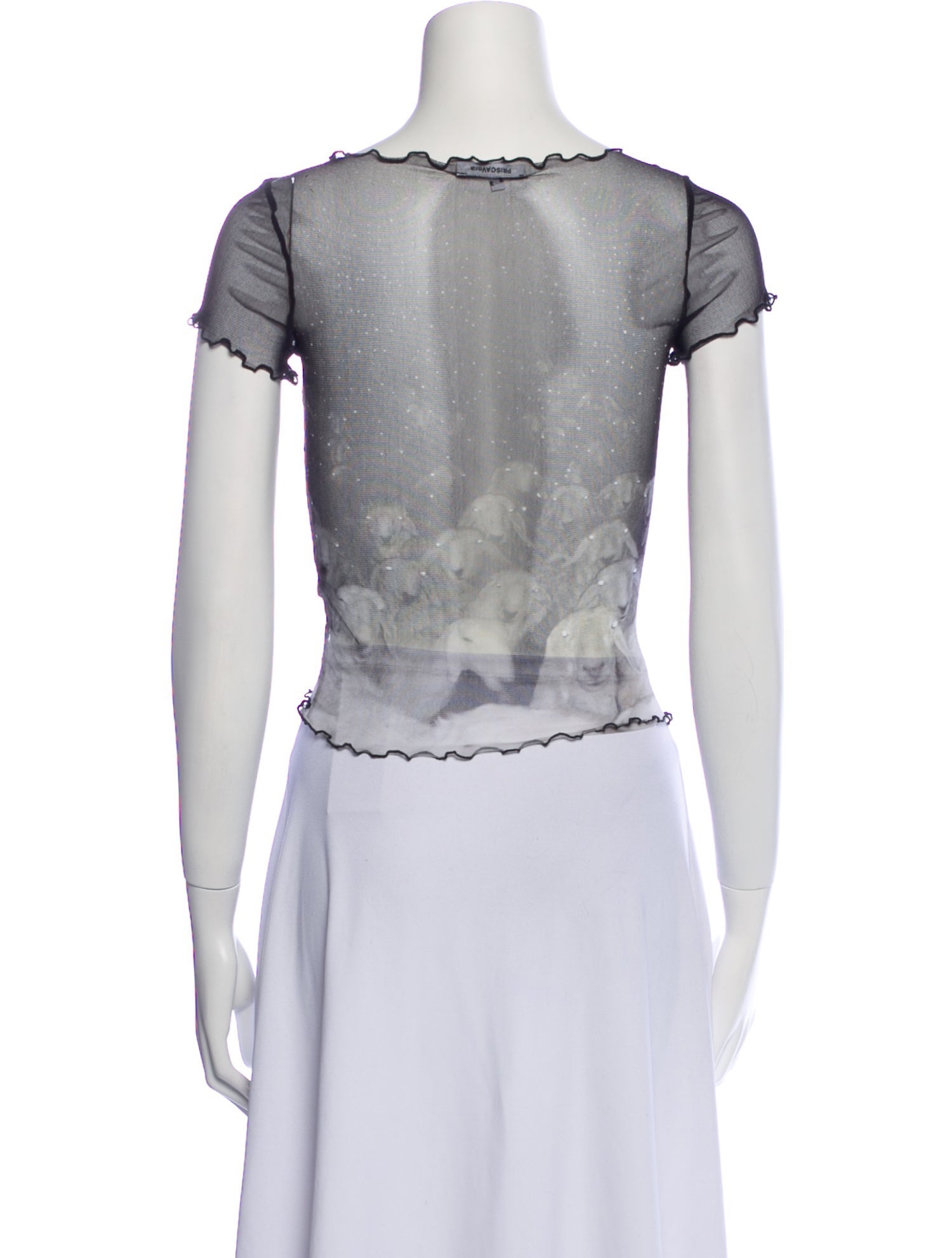 PRISCAVera Printed Scoop Neck Crop Top