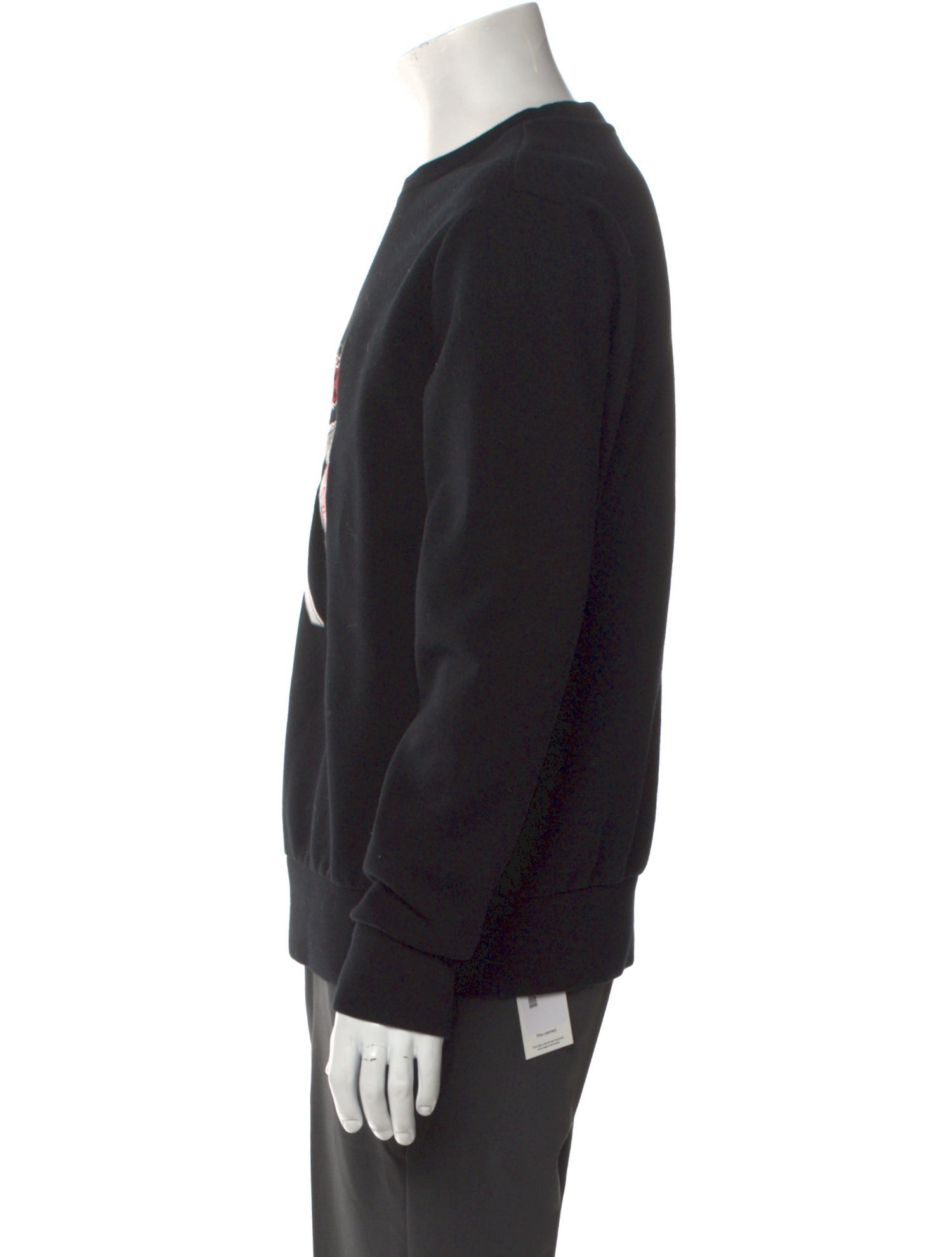 Polo Ralph Lauren Graphic Print Crew Neck Pullover