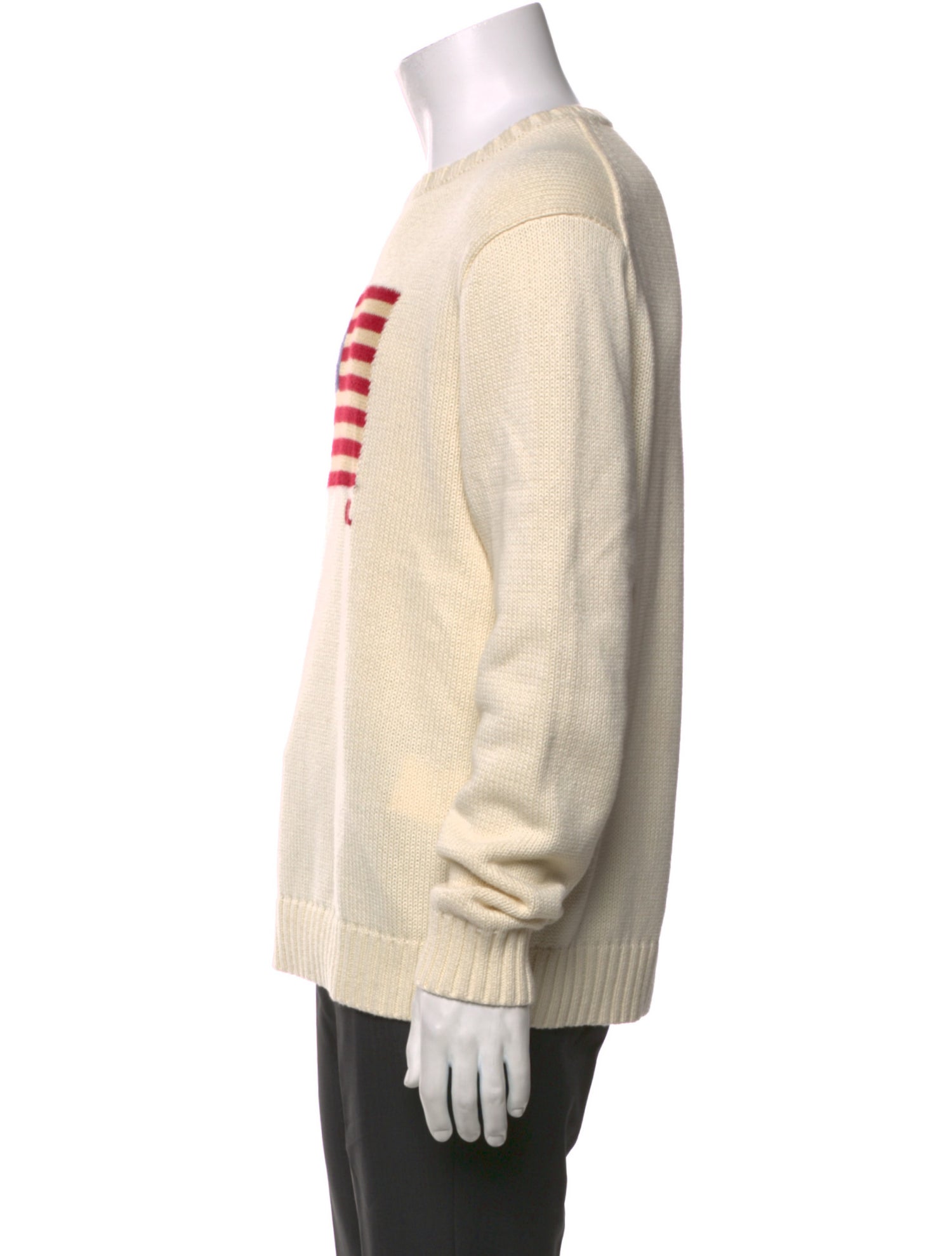 Polo Ralph Lauren Graphic Print Crew Neck Pullover