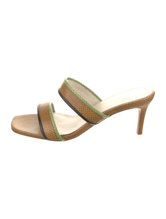 Prota Fiori Lizard Animal Print Slides