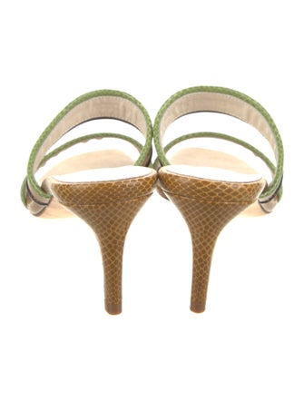 Prota Fiori Lizard Animal Print Slides