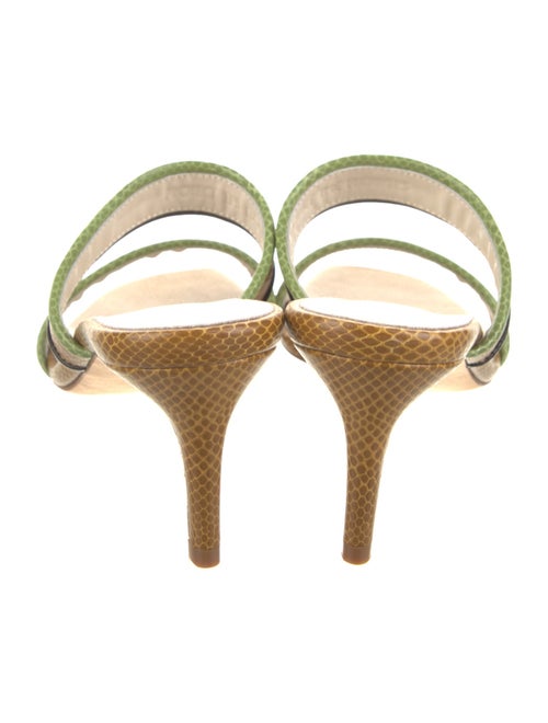 Prota Fiori Lizard Animal Print Slides