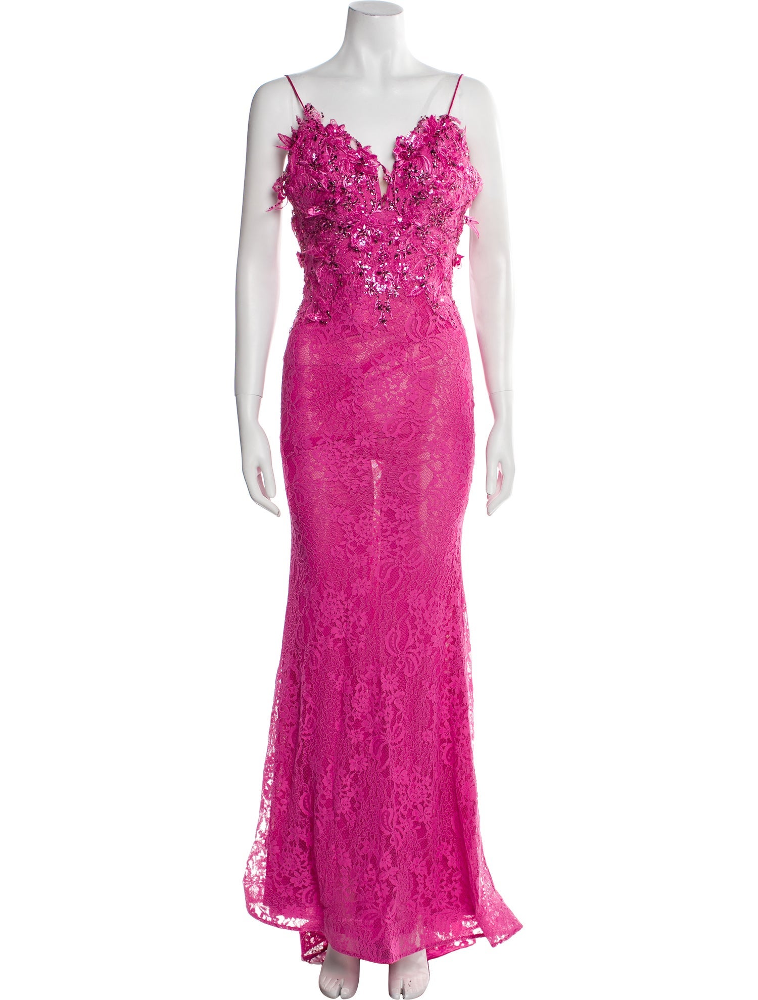 Portia & Scarlett Lace Long Dress
