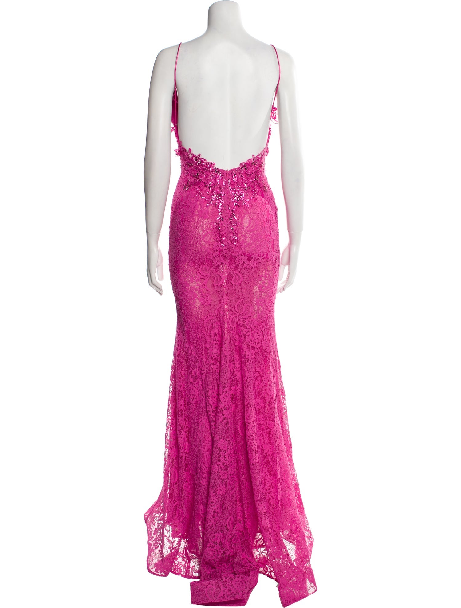 Portia & Scarlett Lace Long Dress