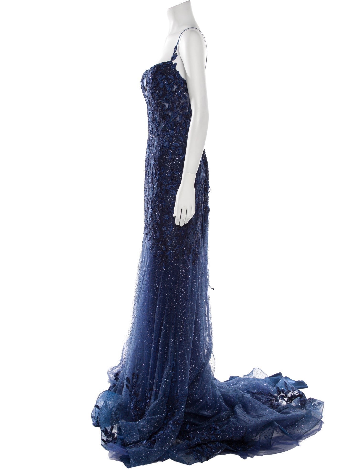 Portia & Scarlett Mesh Long Dress