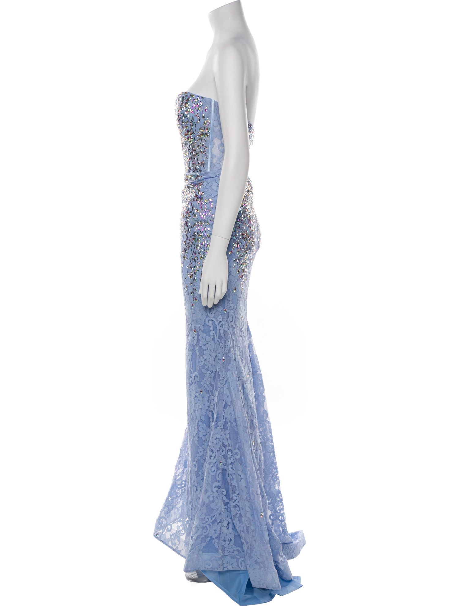 Portia & Scarlett Lace Long Dress