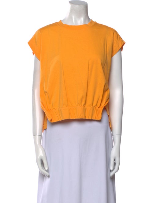 Psophia Crew Neck Short Sleeve Crop Top