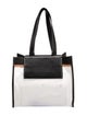 Proenza Schouler White Label Evening Bag
