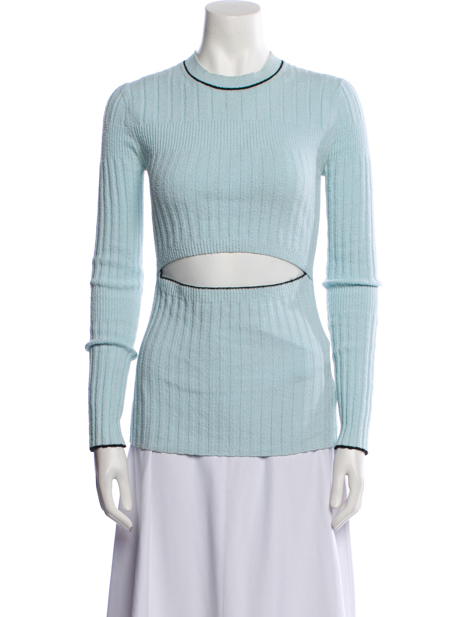 Proenza Schouler White Label Striped Turtleneck Sweater
