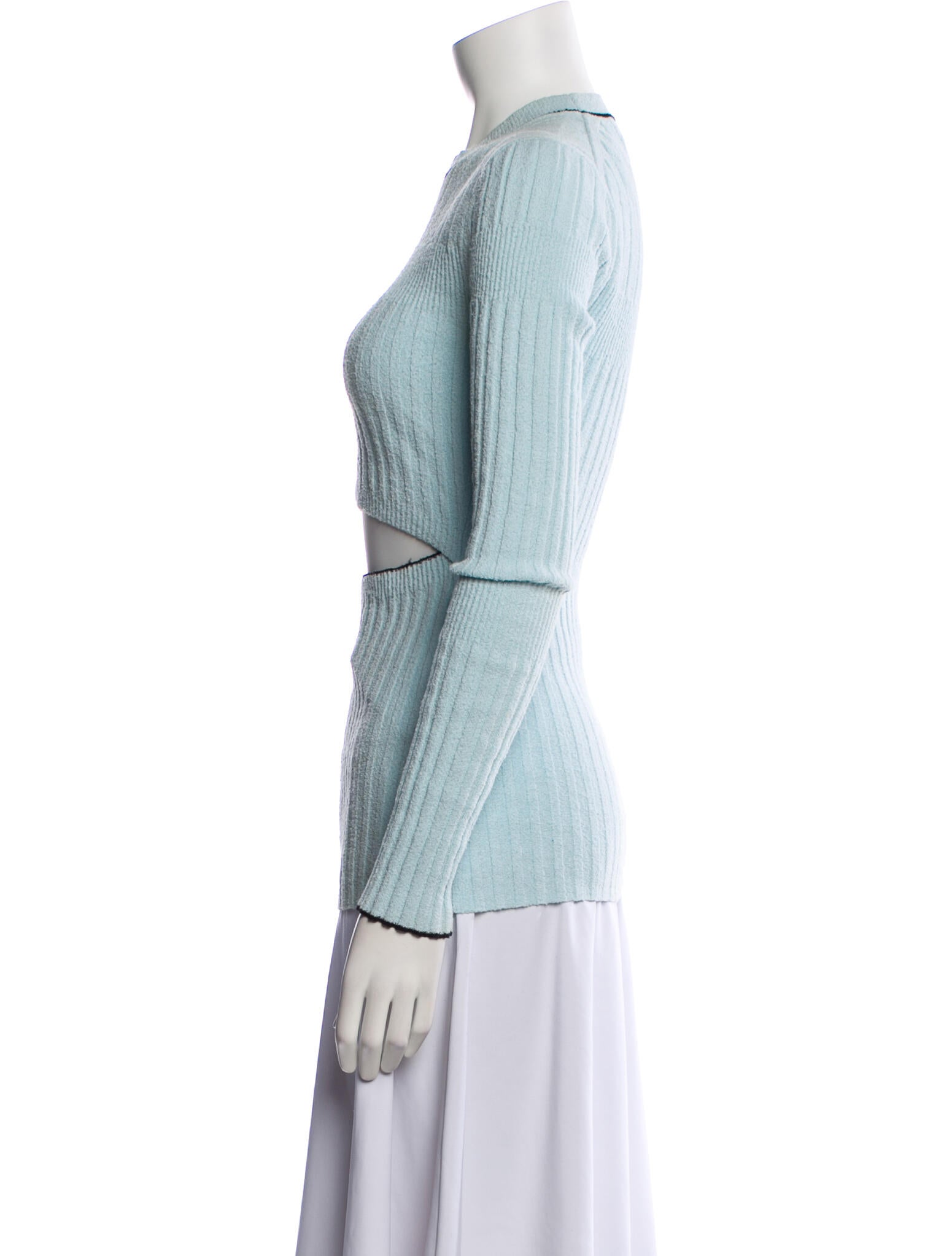 Proenza Schouler White Label Striped Turtleneck Sweater