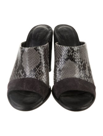 Rag & Bone Snakeskin Animal Print Slides