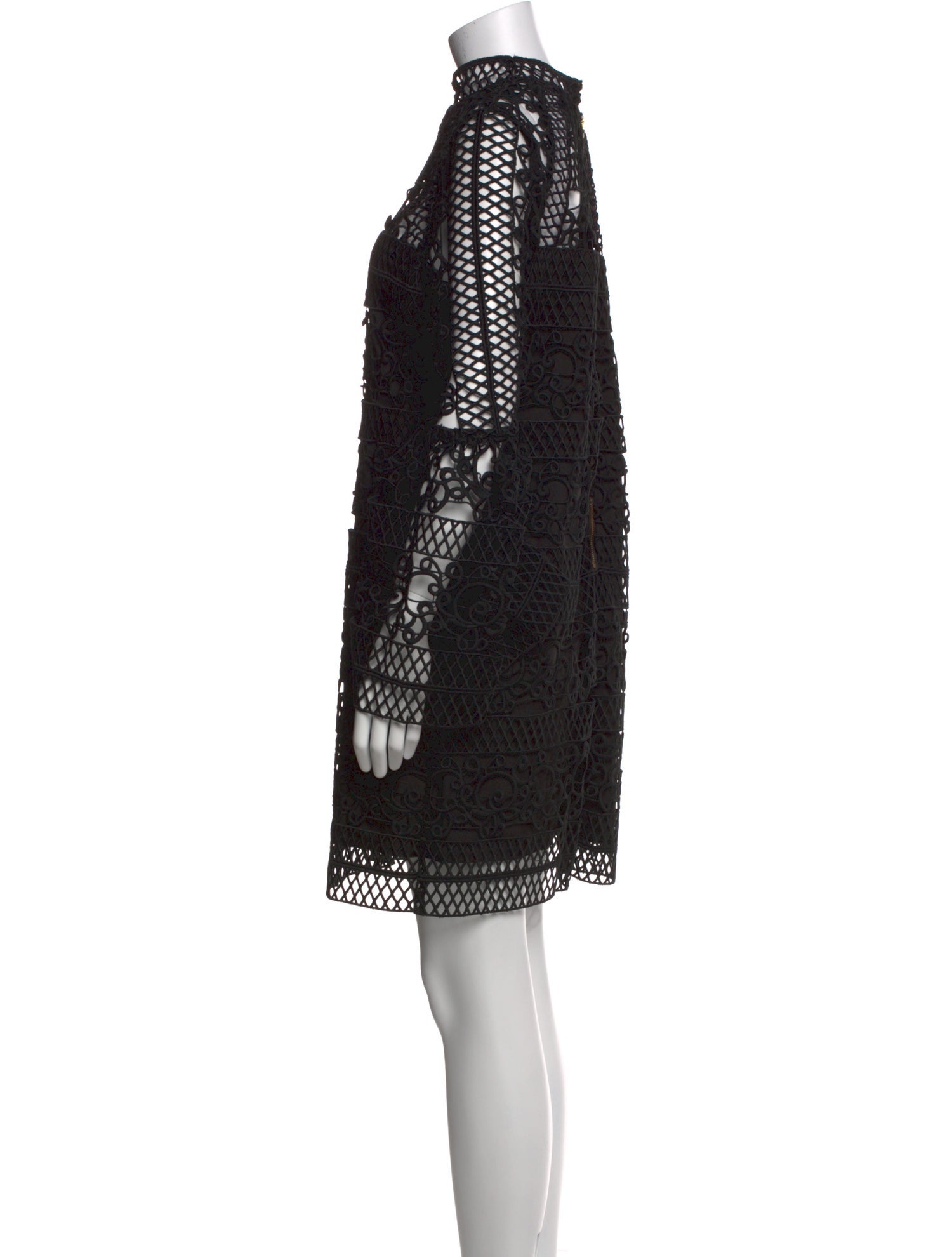 Rachel Gilbert Lace Pattern Mini Dress