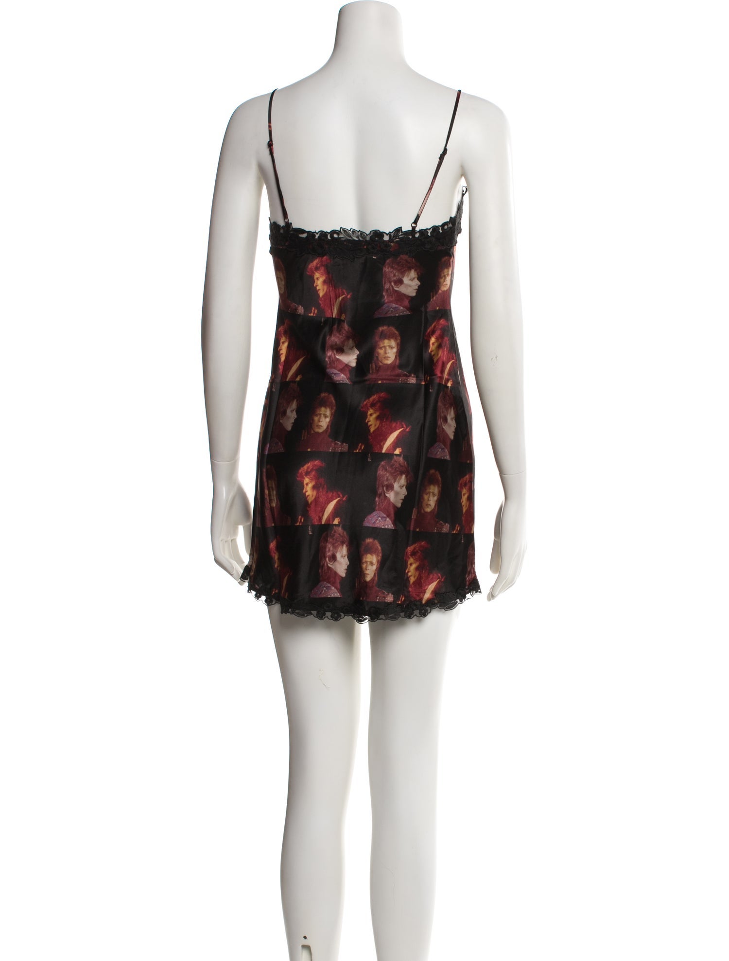 Silk Mini Dress (back)