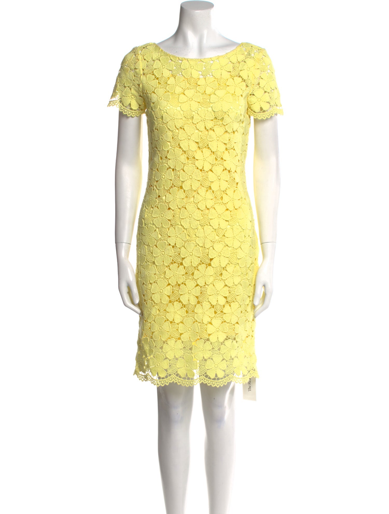 Rickie Freeman Lace Pattern Knee-Length Dress