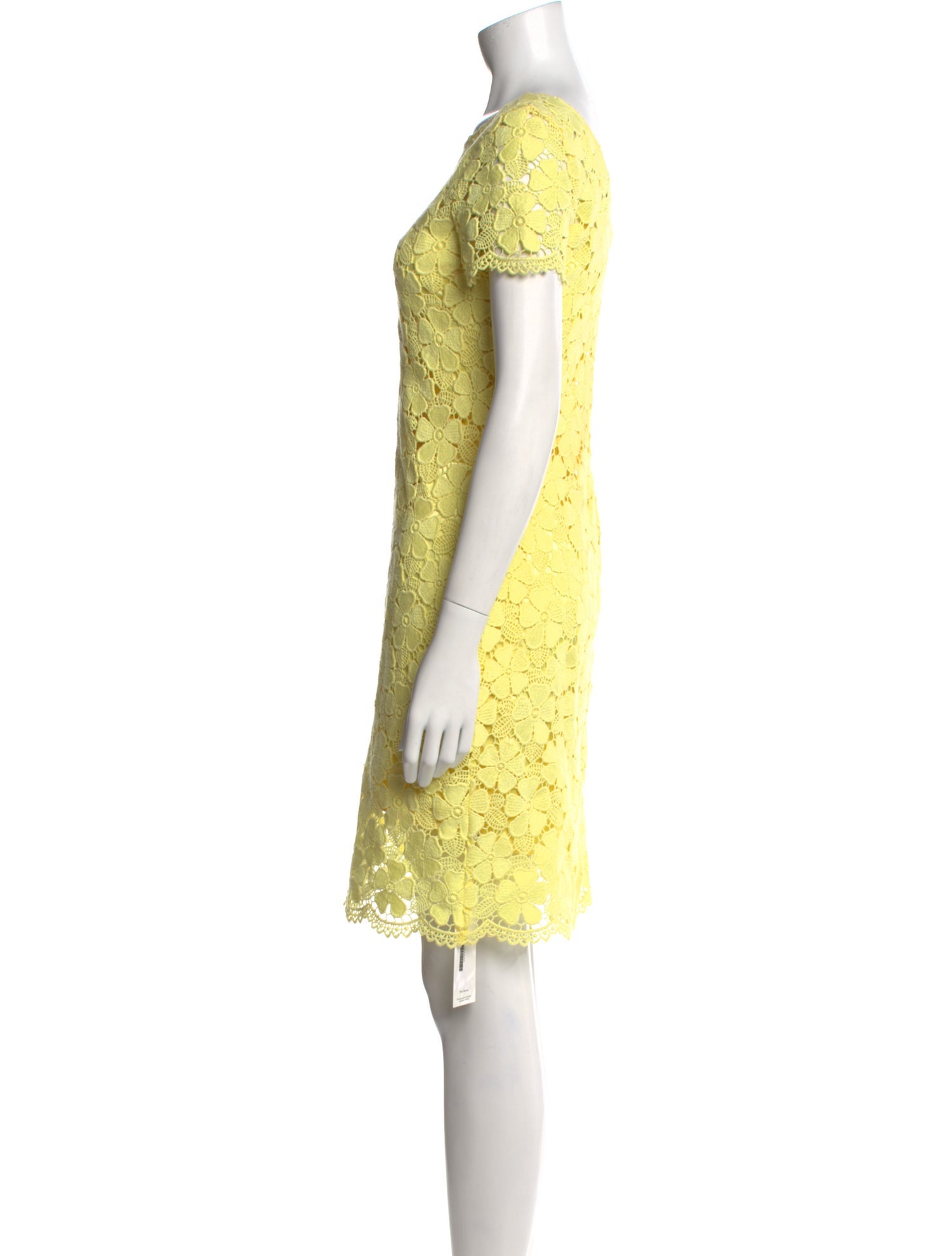 Rickie Freeman Lace Pattern Knee-Length Dress