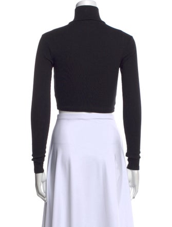 Reformation Turtleneck Long Sleeve Crop Top