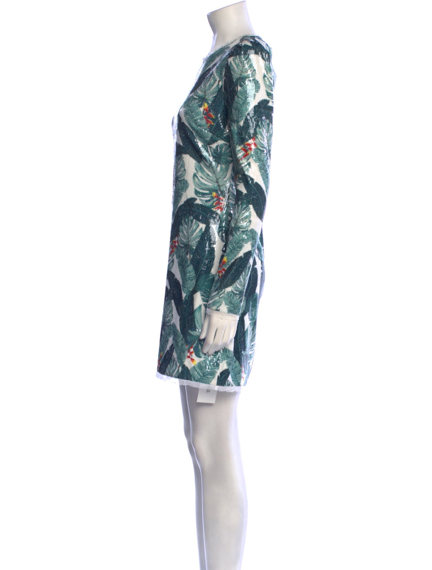 Rachel Zoe Floral Print Mini Dress