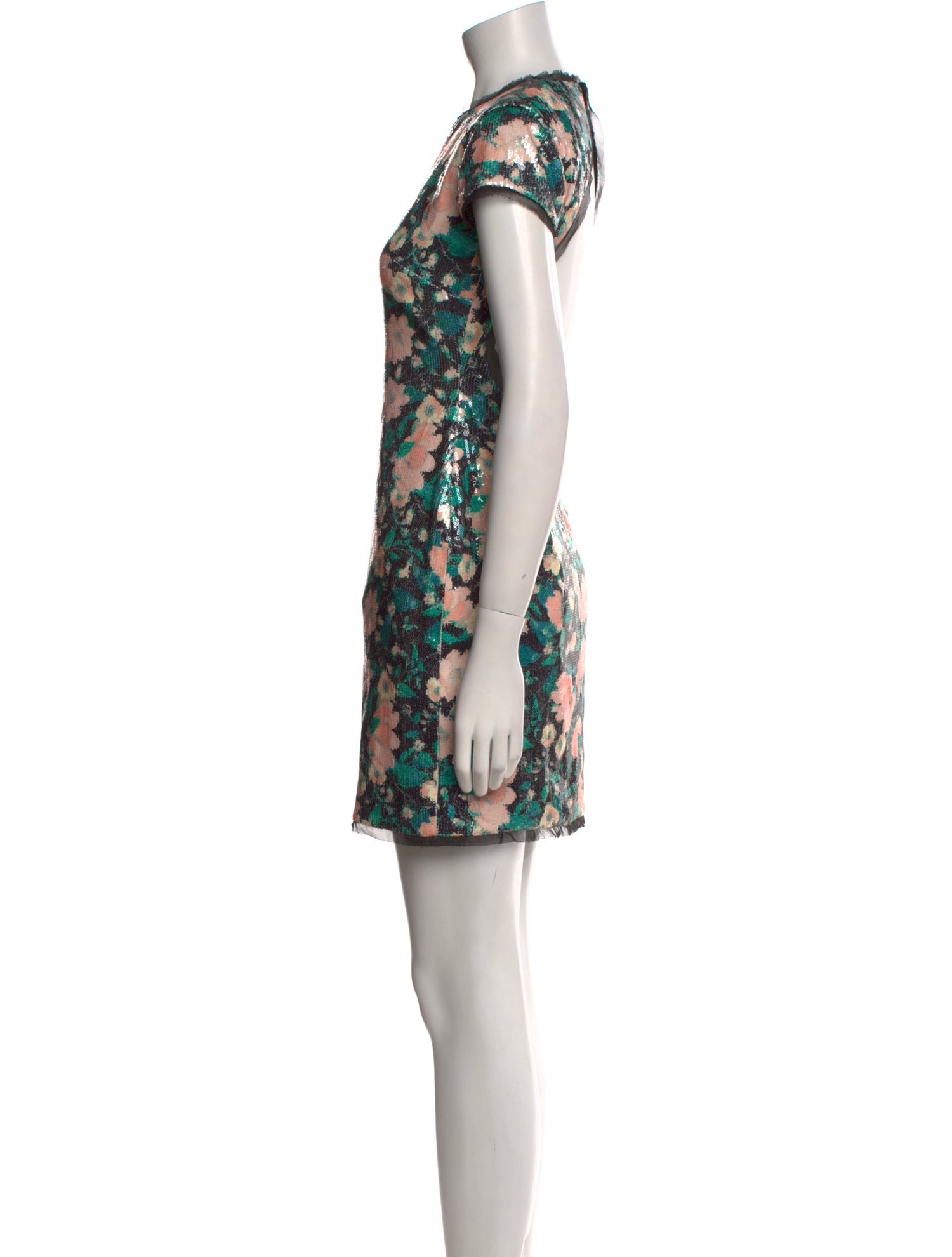 Rachel Zoe Floral Print Mini Dress