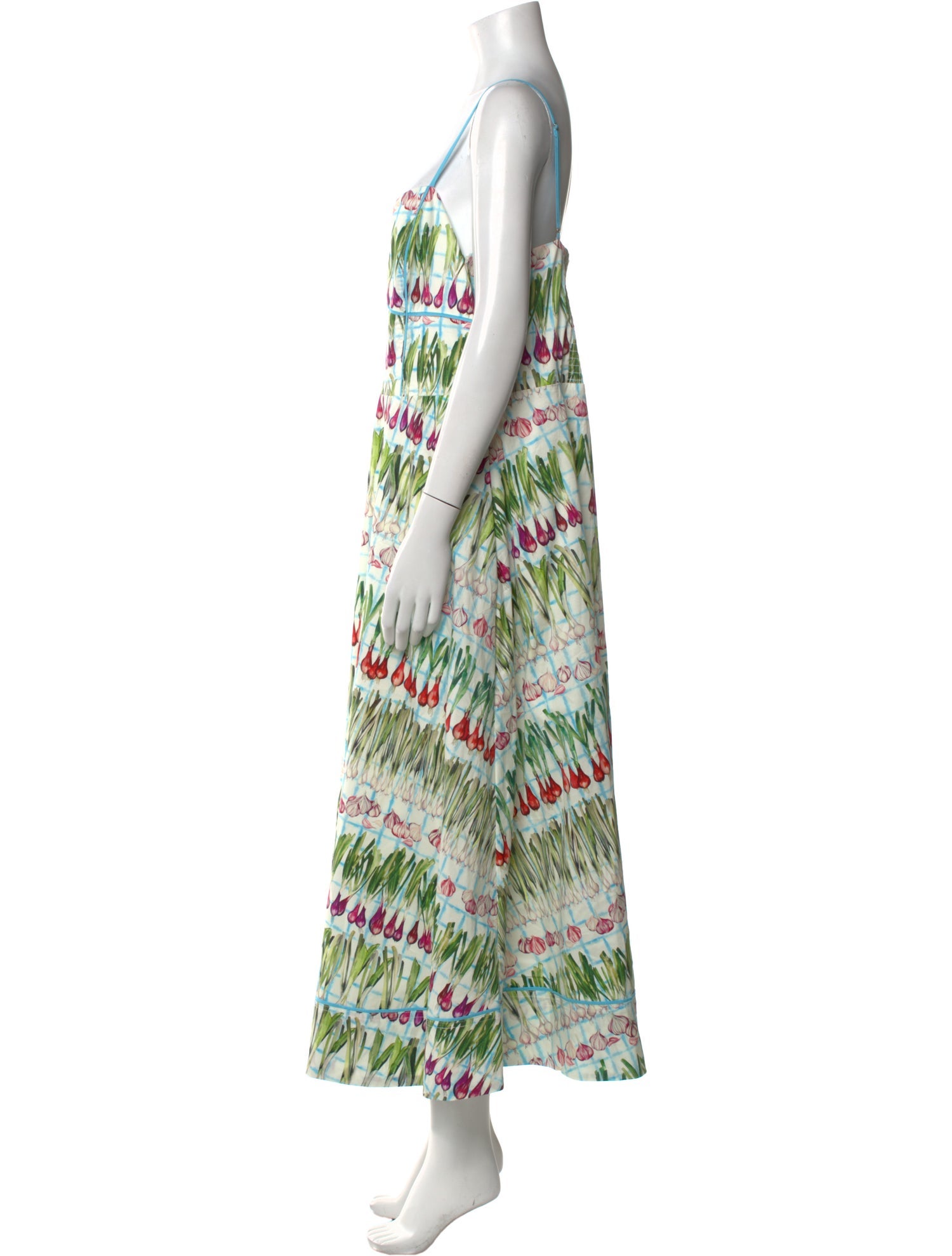 Rachel Antonoff Printed Long Dress