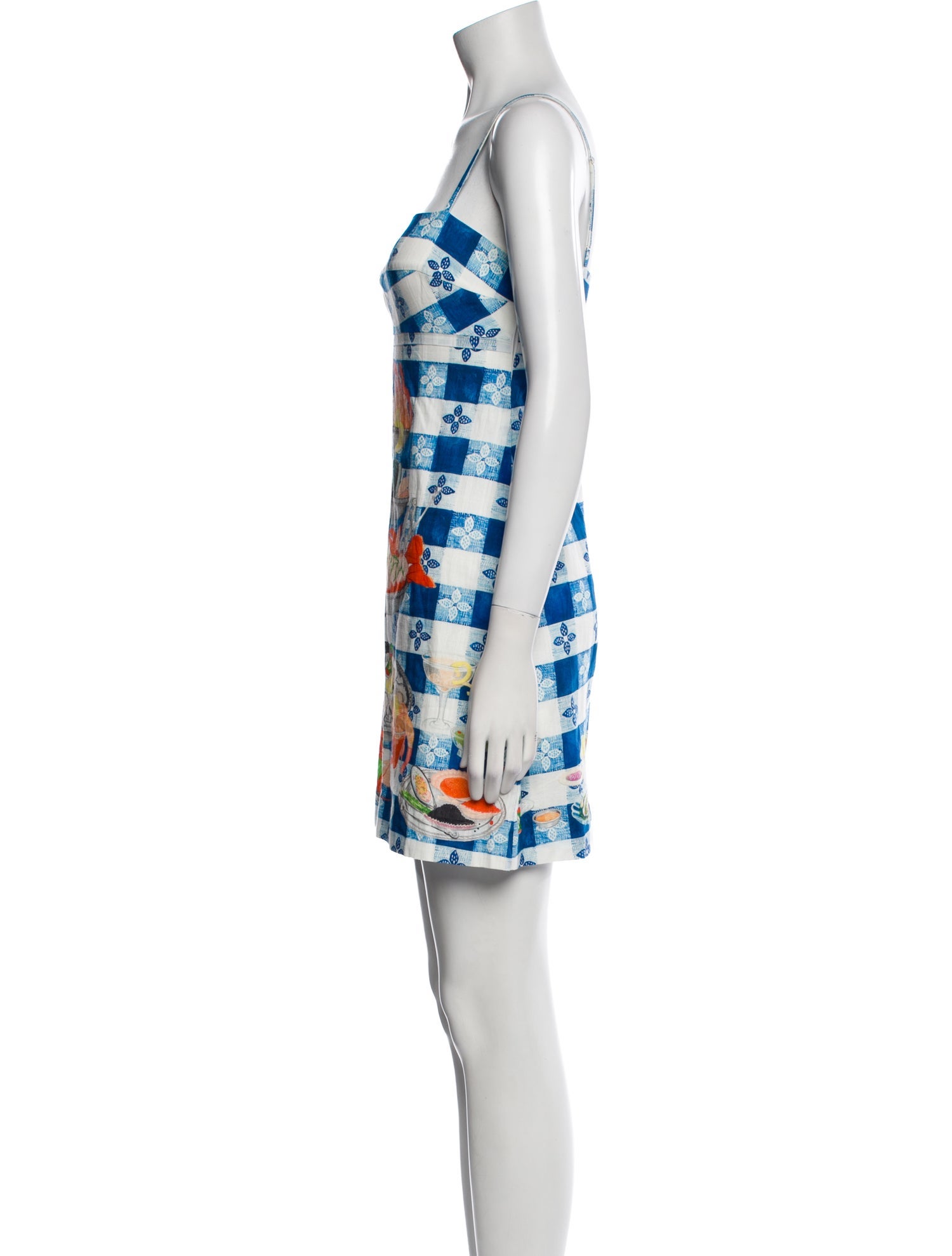 Rachel Antonoff Printed Mini Dress