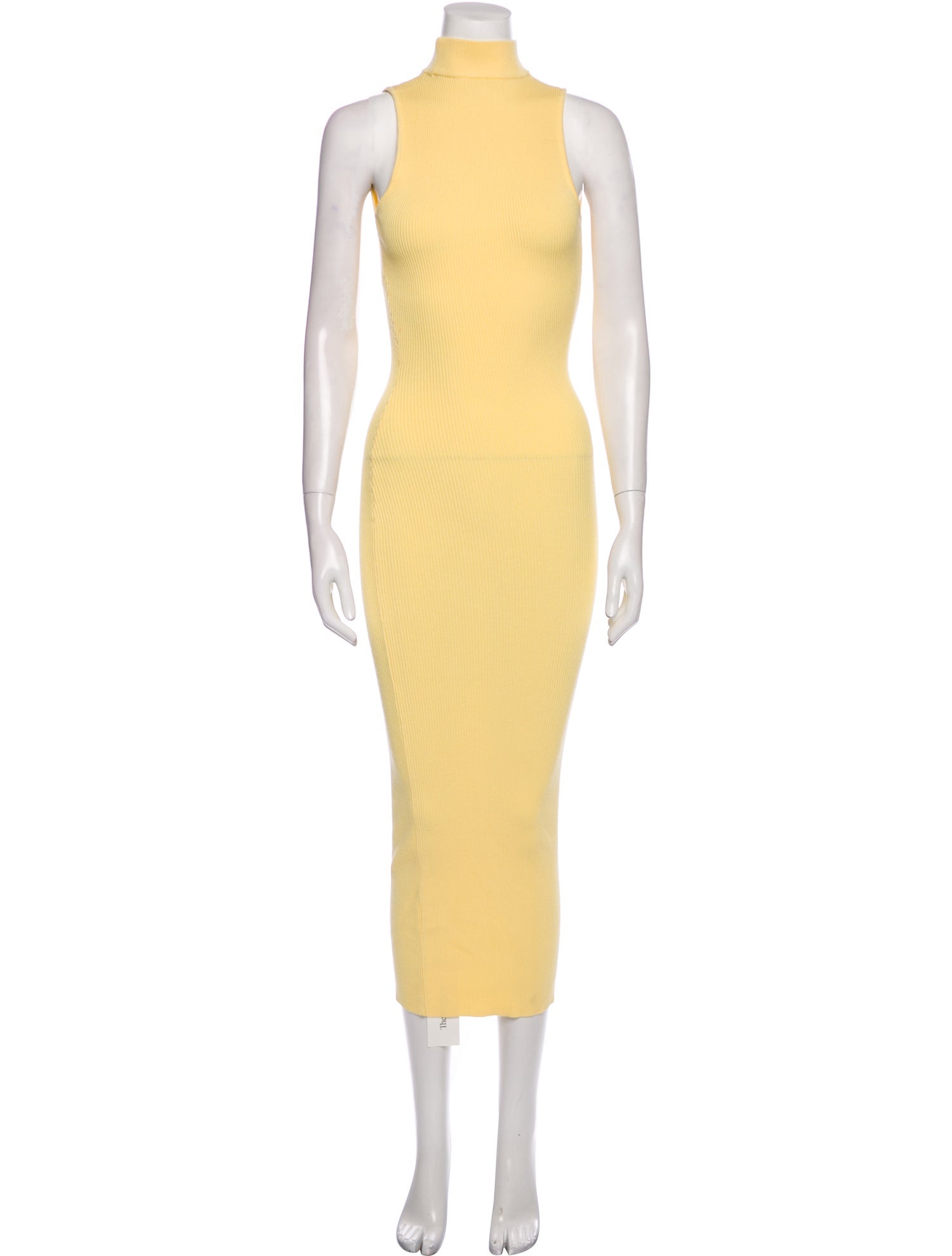 Ronny Kobo Turtleneck Long Dress