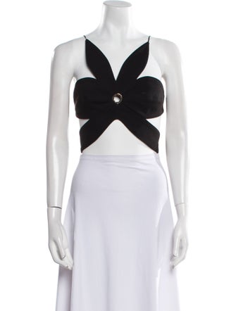 Ronny Kobo V-Neck Sleeveless Crop Top