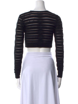 Ronny Kobo Crew Neck Long Sleeve Crop Top