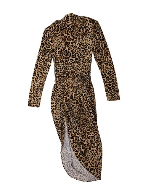 Ronny Kobo Animal Print Long Dress