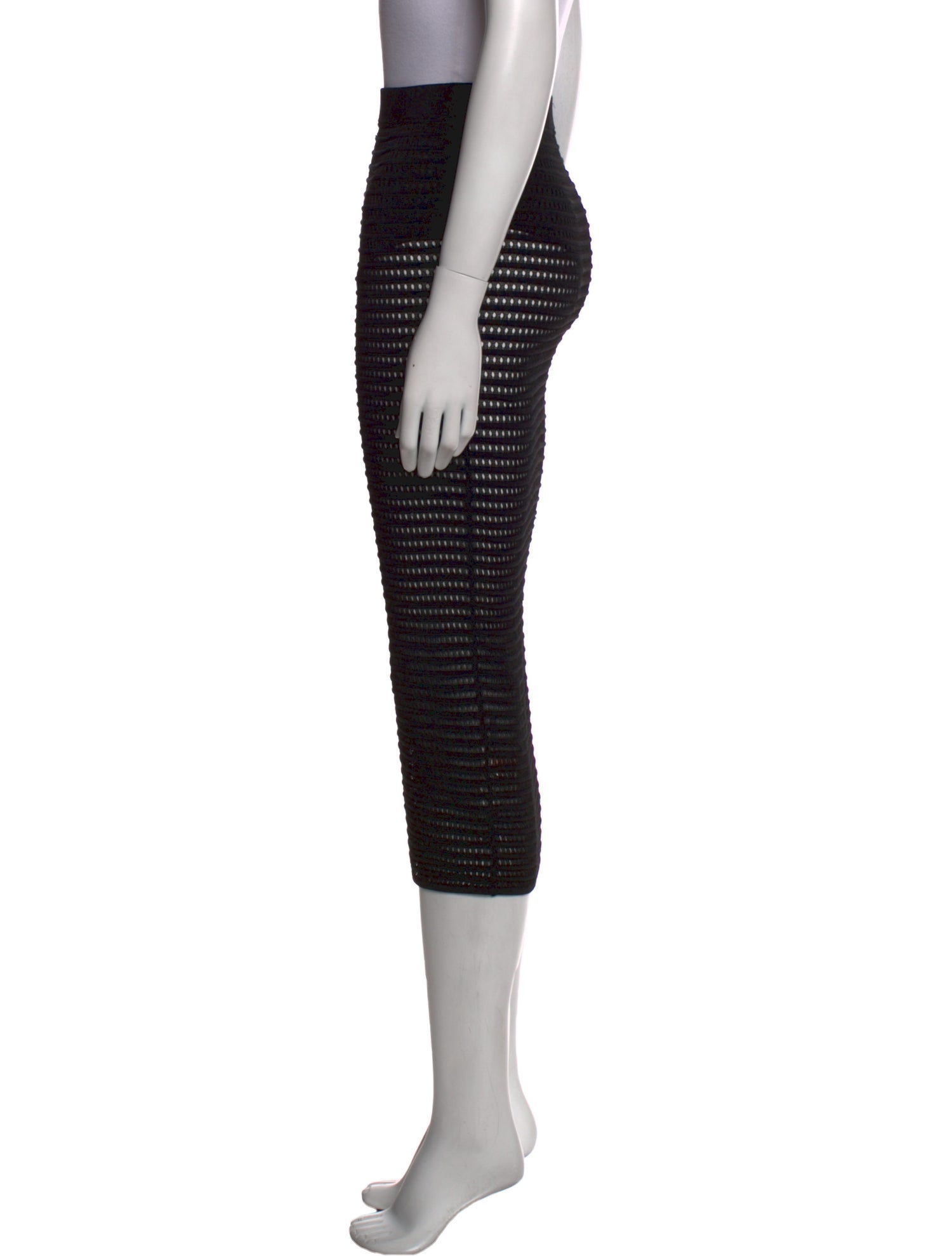 Ronny Kobo Midi Length Skirt