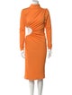 ROTATE Birger Christensen Turtleneck Midi Length Dress