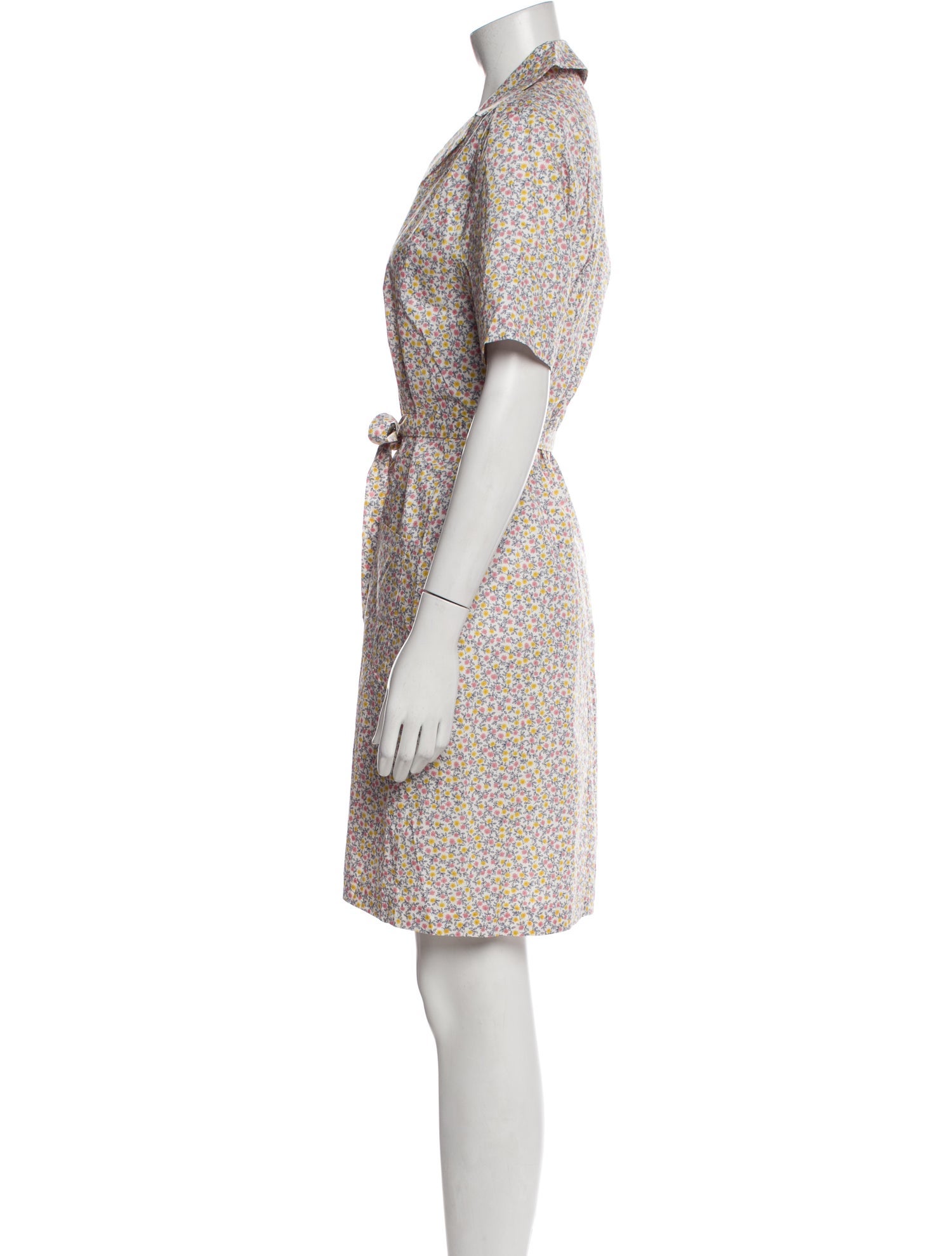 Rouje Printed Knee-Length Dress