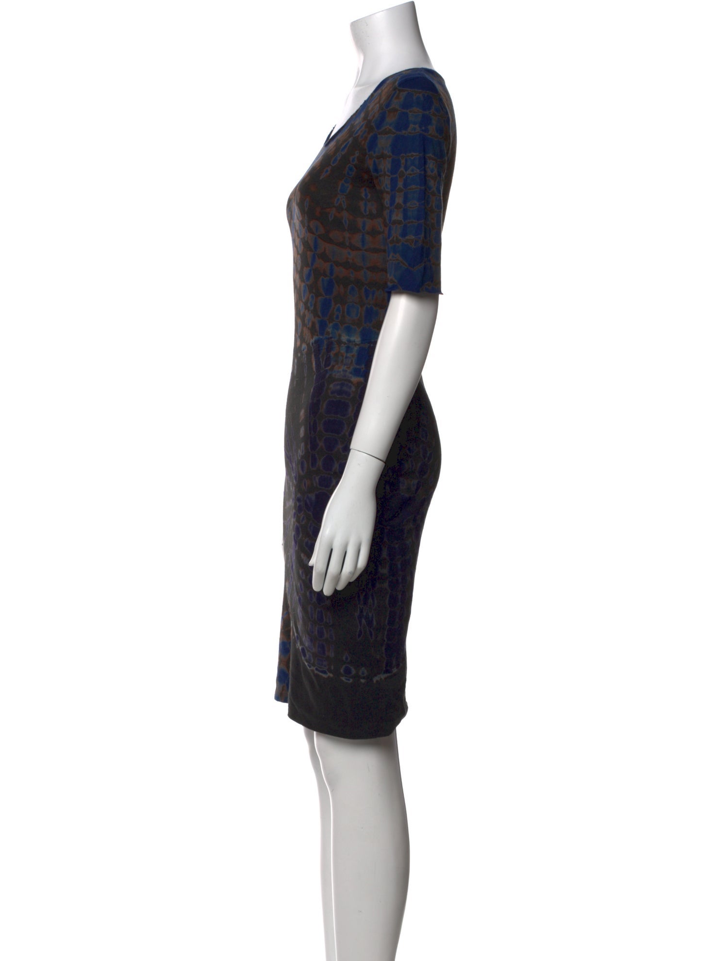 Raquel Allegra Printed Knee-Length Dress