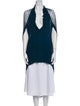 Raquel Allegra V-Neck Sleeveless Tunic
