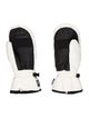 ROSSIGNOL Winter Mittens