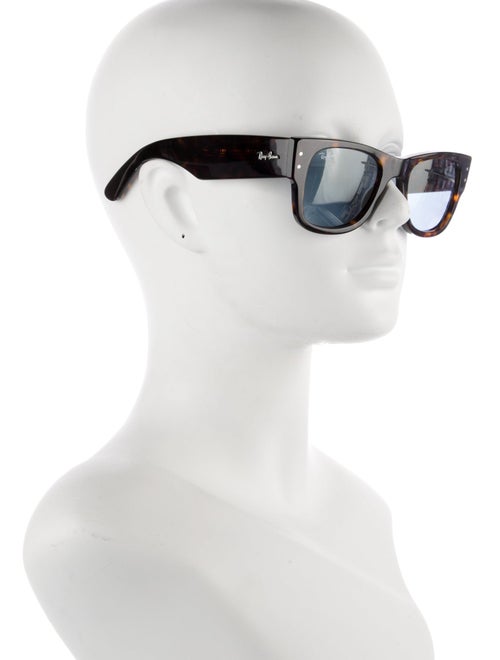Ray-Ban Wayfarer Tinted Sunglasses