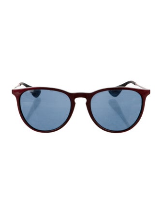 Ray-Ban Wayfarer Tinted Sunglasses