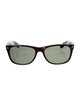 Ray-Ban Wayfarer Tinted Sunglasses