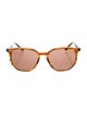 Ray-Ban Wayfarer Tinted Sunglasses