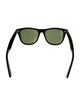 Ray-Ban Wayfarer Tinted Sunglasses