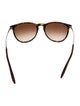Ray-Ban erika Cat-Eye Sunglasses