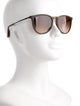Ray-Ban erika Cat-Eye Sunglasses