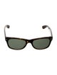 Ray-Ban Wayfarer Tinted Sunglasses